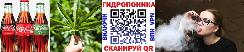 mega как зайти  Шатура  Canna-Cookies конопля 